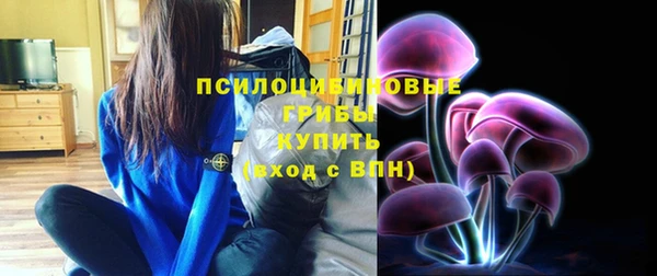 а пвп мука Богородицк
