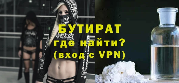 мдпв Бородино
