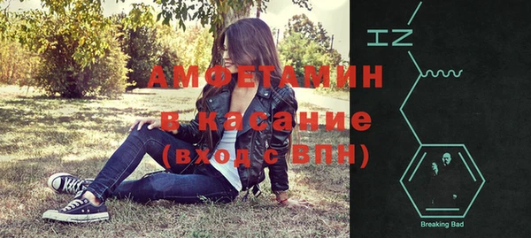 мдпв Бородино