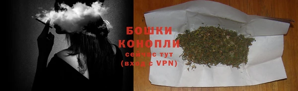 ГАЛЛЮЦИНОГЕННЫЕ ГРИБЫ Белоозёрский