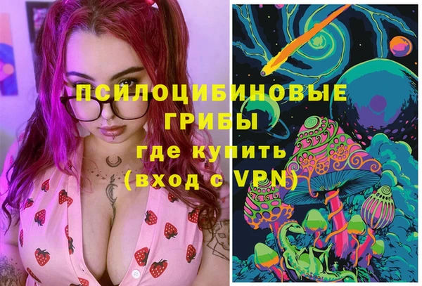 ГАЛЛЮЦИНОГЕННЫЕ ГРИБЫ Белоозёрский